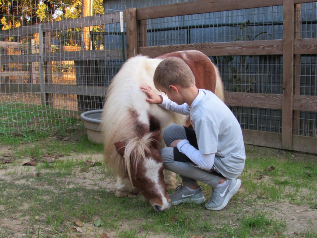 Ranch Hands Rescue